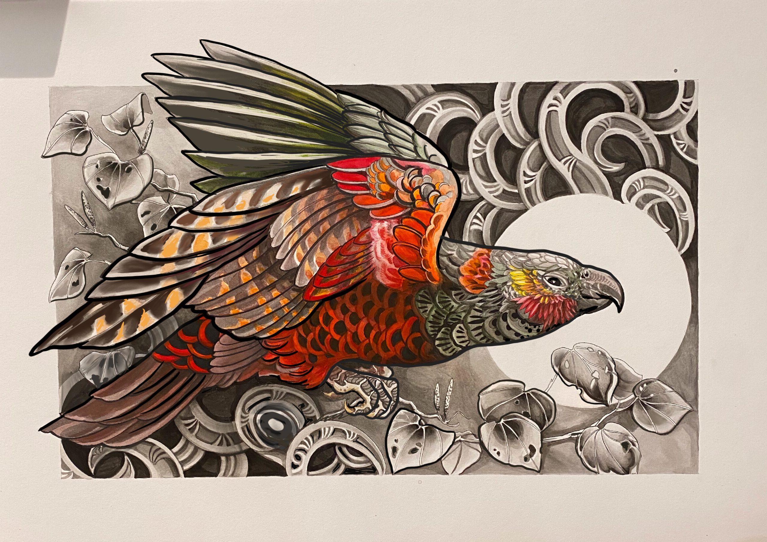 Watercolour Kākā